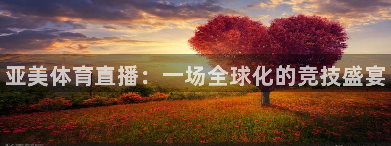 亚美体育直播：一场全球化的竞技盛宴