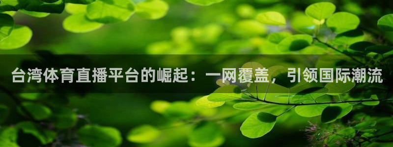台湾体育直播平台的崛起：一网覆盖，引领国际潮流