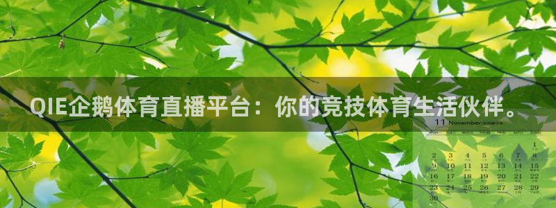 QIE企鹅体育直播平台：你的竞技体育生活伙伴。
